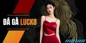 Đá gà LUCK8: Xem đá gà trực tiếp full HD, rinh thưởng lớn